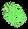 Fingerprint Recognition
